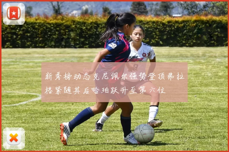 新秀榜动态克尼佩尔强势登顶弗拉格紧随其后哈珀跃升至第六位